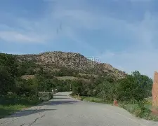 ayx-俄克拉荷马雷霆20号最新消息